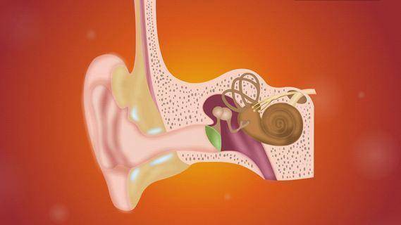 鼓膜穿孔，需要配助听器吗？